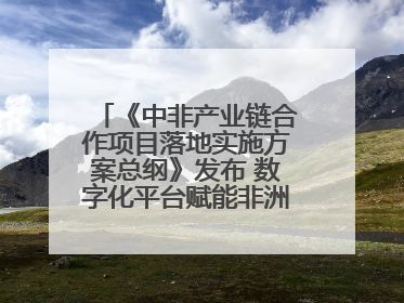 《中非产业链合作项目落地实施方案总纲》发布 数字化平台赋能非洲发展驶入快车道