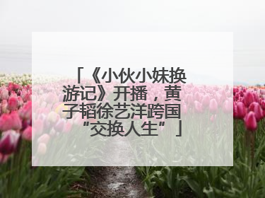 《小伙小妹换游记》开播，黄子韬徐艺洋跨国“交换人生”