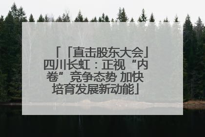 「直击股东大会」四川长虹：正视“内卷”竞争态势 加快培育发展新动能