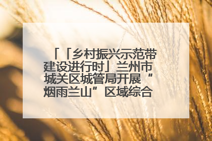 「乡村振兴示范带建设进行时」兰州市城关区城管局开展“烟雨兰山”区域综合整治专项行动