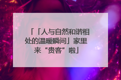 「人与自然和谐相处的温暖瞬间」家里来“贵客”啦