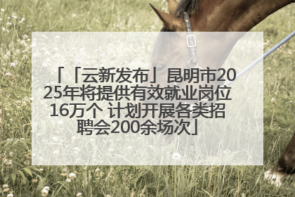 「云新发布」昆明市2025年将提供有效就业岗位16万个 计划开展各类招聘会200余场次