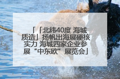 「北纬40度 海城质造」扬帆出海展硬核实力 海城四家企业参展“中东欧”展览会