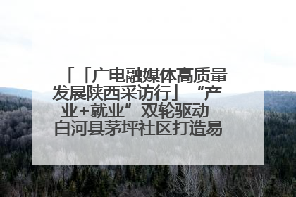 「广电融媒体高质量发展陕西采访行」“产业+就业”双轮驱动 白河县茅坪社区打造易地搬迁后扶新样本