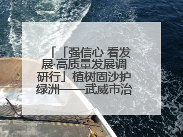 「强信心 看发展·高质量发展调研行」植树固沙护绿洲——武威市治沙造林筑牢生态安全屏障见闻