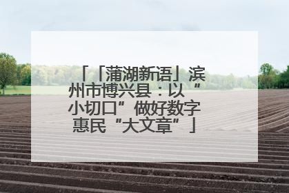 「蒲湖新语」滨州市博兴县：以“小切口”做好数字惠民“大文章”