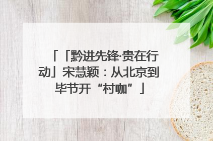 「黔进先锋·贵在行动」宋慧颖：从北京到毕节开“村咖”