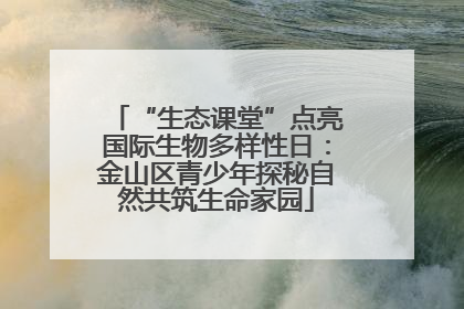 “生态课堂”点亮国际生物多样性日：金山区青少年探秘自然共筑生命家园