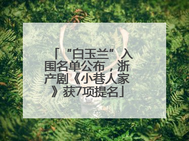 “白玉兰”入围名单公布，浙产剧《小巷人家》获7项提名