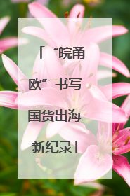 “皖甬欧”书写国货出海新纪录