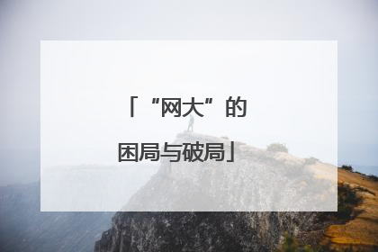 “网大”的困局与破局
