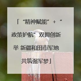 “精神赋能”+“政策护航”双拥创新举 新疆和田市军地共筑强军梦