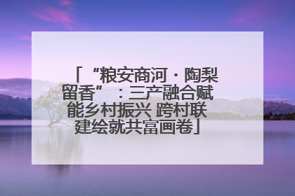 “粮安商河・陶梨留香”：三产融合赋能乡村振兴 跨村联建绘就共富画卷