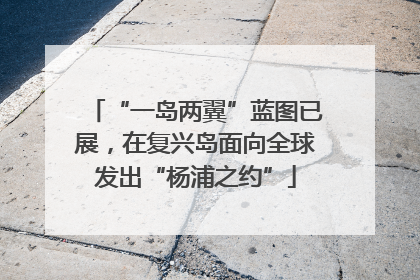 “一岛两翼”蓝图已展，在复兴岛面向全球发出“杨浦之约”