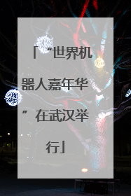 “世界机器人嘉年华”在武汉举行