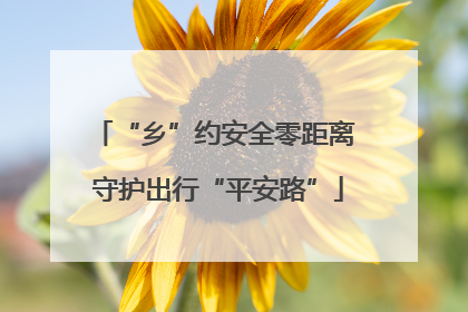 “乡”约安全零距离 守护出行“平安路”