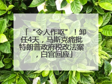 “令人作呕”！卸任4天，马斯克痛批特朗普政府税改法案，白宫回应