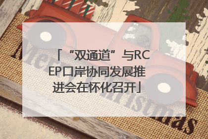 “双通道”与RCEP口岸协同发展推进会在怀化召开