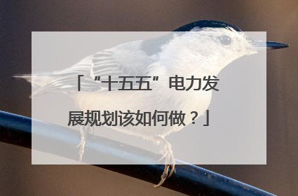 “十五五”电力发展规划该如何做？