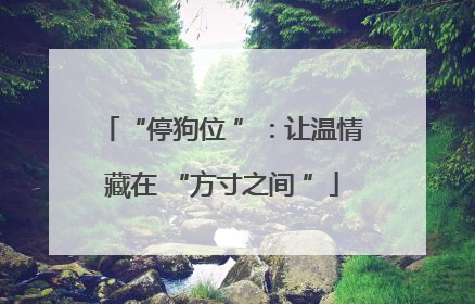 “停狗位 ”：让温情藏在 “方寸之间 ”