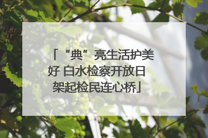 “典”亮生活护美好 白水检察开放日架起检民连心桥