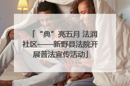 “典”亮五月 法润社区——新野县法院开展普法宣传活动