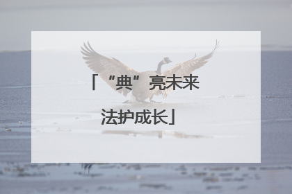 “典”亮未来 法护成长