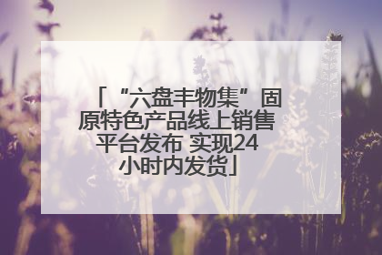 “六盘丰物集”固原特色产品线上销售平台发布 实现24小时内发货