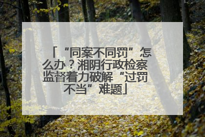 “同案不同罚”怎么办？湘阴行政检察监督着力破解“过罚不当”难题
