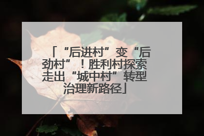 “后进村”变“后劲村”！胜利村探索走出“城中村”转型治理新路径