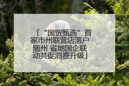 “国贸甄选”首家市州联营店落户随州 省地国企联动共促消费升级