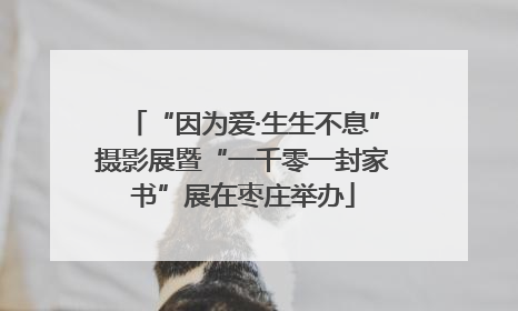 “因为爱·生生不息”摄影展暨“一千零一封家书”展在枣庄举办