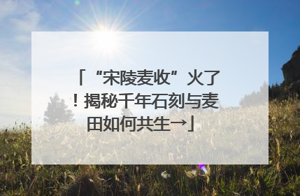“宋陵麦收”火了！揭秘千年石刻与麦田如何共生→