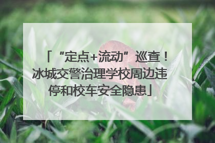 “定点+流动”巡查！冰城交警治理学校周边违停和校车安全隐患