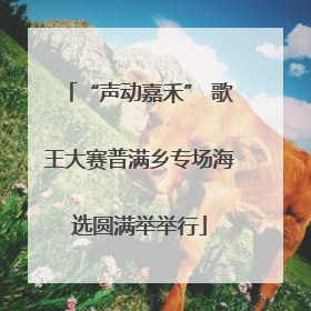 “声动嘉禾” 歌王大赛普满乡专场海选圆满举举行