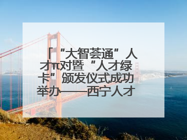 “大智荟通”人才π对暨“人才绿卡”颁发仪式成功举办——西宁人才周大通分会场亮点纷呈