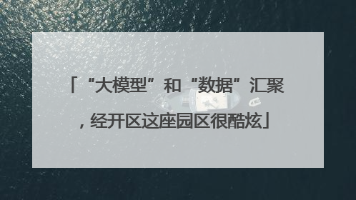 “大模型”和“数据”汇聚，经开区这座园区很酷炫
