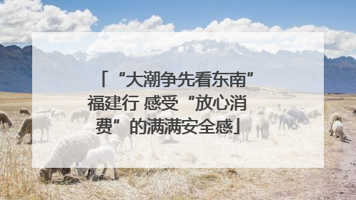 “大潮争先看东南”福建行 感受“放心消费”的满满安全感