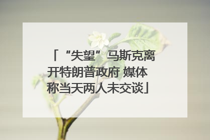 “失望”马斯克离开特朗普政府 媒体称当天两人未交谈