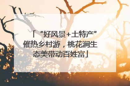“好风景+土特产”催热乡村游，桃花涧生态美带动百姓富