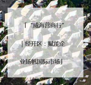 “威海营商行”｜经开区：赋能企业扬帆国际市场