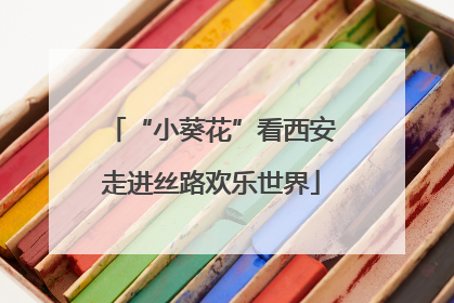“小葵花”看西安走进丝路欢乐世界