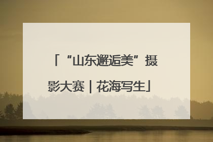 “山东邂逅美”摄影大赛｜花海写生