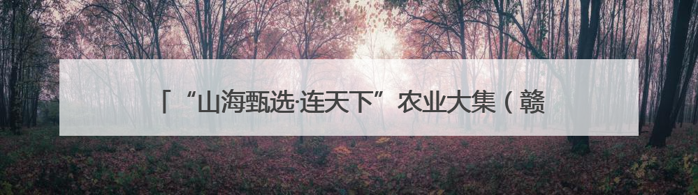 “山海甄选·连天下”农业大集（赣榆专场）火热开市，助力乡村振兴