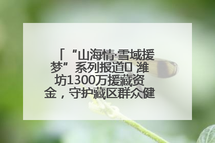 “山海情·雪域援梦”系列报道⑪ 潍坊1300万援藏资金，守护藏区群众健康“最后一公里”