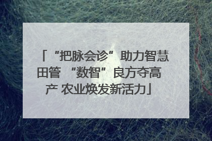 “把脉会诊”助力智慧田管 “数智”良方夺高产 农业焕发新活力