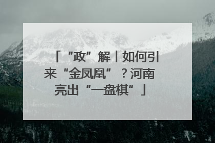 “政”解丨如何引来“金凤凰”？河南亮出“一盘棋”
