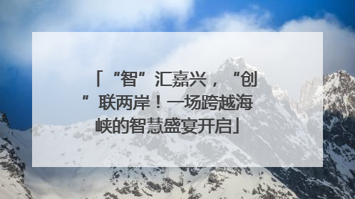 “智”汇嘉兴，“创”联两岸！一场跨越海峡的智慧盛宴开启