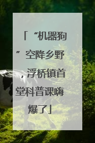 “机器狗”空降乡野，浮桥镇首堂科普课嗨爆了