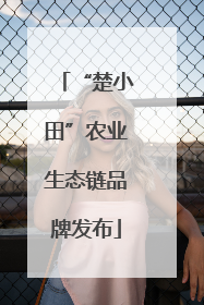 “楚小田”农业生态链品牌发布